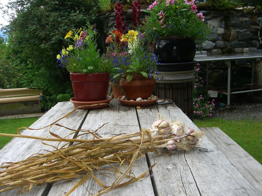 Brigitte'S Bavarian Bed Und Breakfast Millers Landing Экстерьер фото