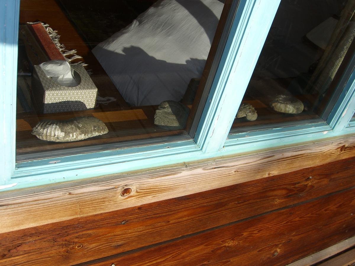 Brigitte'S Bavarian Bed Und Breakfast Millers Landing Экстерьер фото